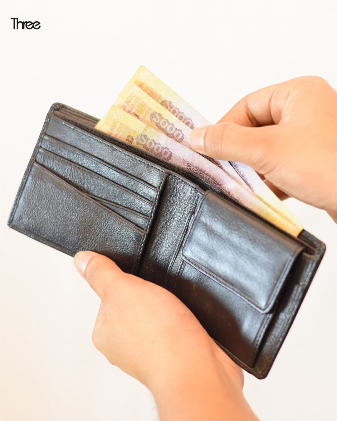 moneybag3